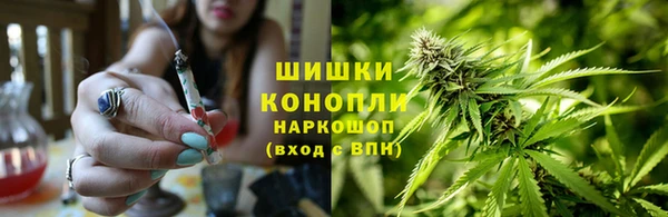ешки Алексин