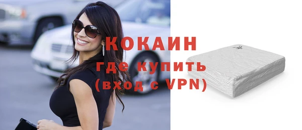 ешки Алексин