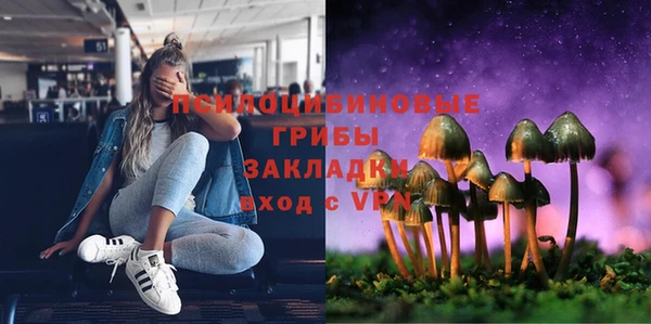 ешки Алексин