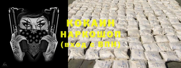ешки Алексин